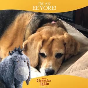 Meet your Posher, Deanna